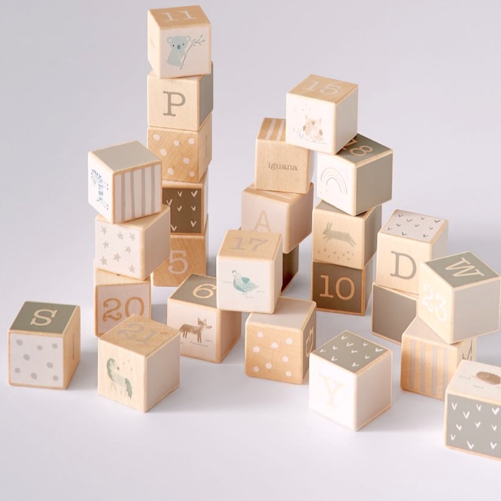 Pottery Barn Kids Wooden Alphabet Blocks - Neutral colors